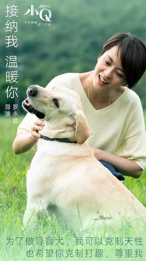 广发银行转账凭条怎么买高仿